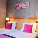 Hotel DU CHEMIN VERT 3